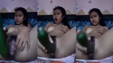 Cewek Memek Hitam Colmek Pakai Timun